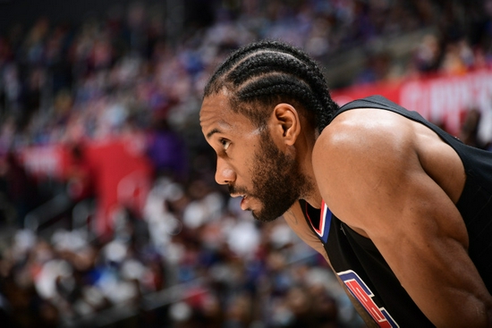 因为它不仅 因为它不仅